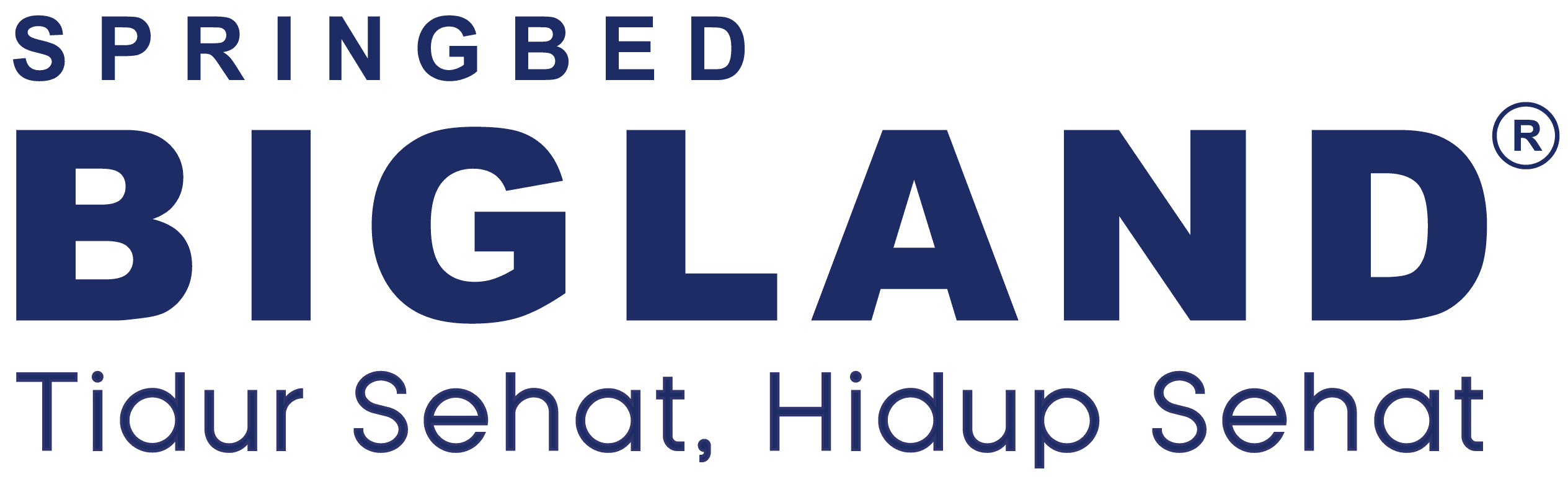 Bigland Logo